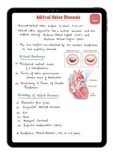 Medical anatomy lecture notes